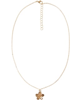 Lmtd Nlfhibi Necklace Main Image