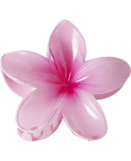 NI 13256715-PID-ONE SIZE HAIRCLIP FEM Main Image