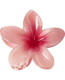 NI 13256715-POI-ONE SIZE HAIRCLIP FEM Main Image