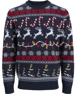 JJ 12301203-NAB-RDE-M PULLOVER MALE KNIT Main Image