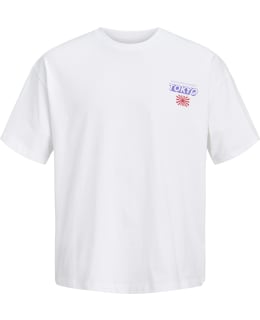 JJ 12303541-BRW-L T-SHIRT MALE KNIT Main Image
