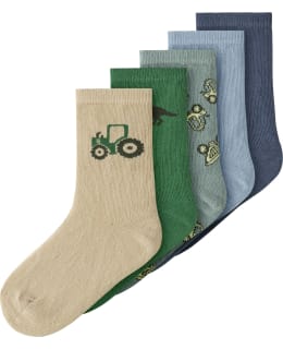 NI 13226697-GRM-31/33 SOCKS MALE KNIT Main Image