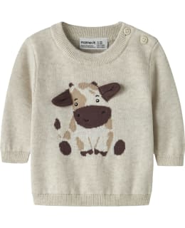NI 13258310-PEM-80 PULLOVER MALE Main Image