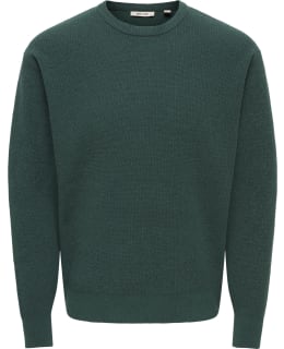 ONS 22039789-PIG-M PULLOVER MALE KNIT Main Image