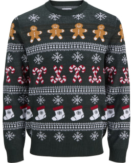 JJ 12301734-SCA-EU3XL US1XL PULLOVER MAL Main Image