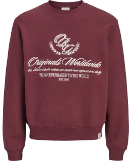 JJ 12305785-CHT-S SWEAT MALE KNIT Main Image