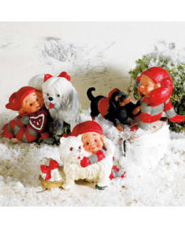 POBRA 4658 6CM LAJ.DOG TONTTU Main Image