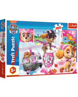 TREFL PAW PATROL 100P PALAPELI Main Image