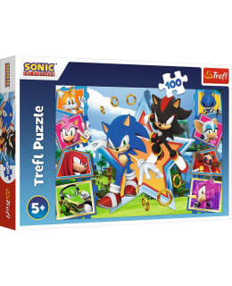 TREFL SONIC 100P PALAPELI Main Image