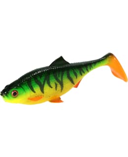 MIKADO MFT ROACH 12CM FIRE TIGER 4KPL Main Image