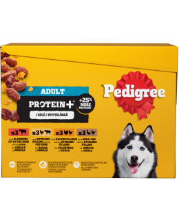 PEDIGREE 12X85G PROTEIN+ HYYTELÖLAJIT Main Image