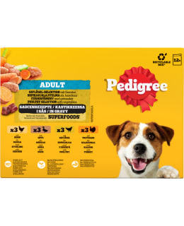 PEDIGREE 12X100G SIIPIKARJAL KASTIKK Main Image