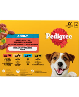 PEDIGREE 12X100G FAVOURITES HYYTELÖLAJ Main Image