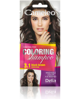 CAMELEO 3.1 COLORING SHAMPOO Main Image
