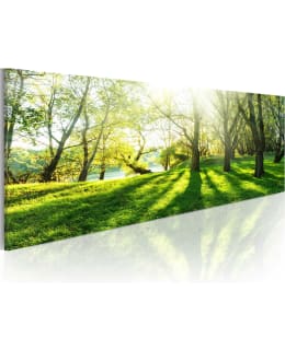 ARTGEIST RAYS OF SUNSHINE 120X40 TAULU Main Image