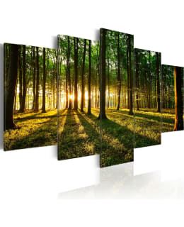 ARTGEIST ADVE.IN WOODS 100X50 5OS TAULU Main Image