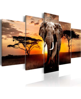 ARTGEIST ELEPHANT 5OS 100X50CM TAULU Main Image