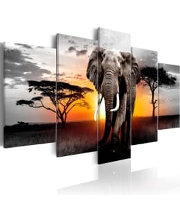 ARTGEIST ELEPH.SUNSET 100X50 5O TAULUSET Main Image