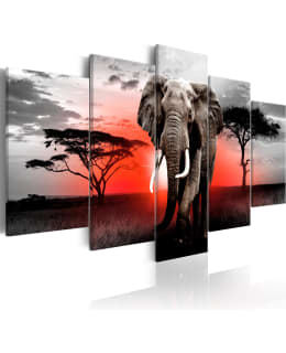 ARTGEIST LONELY ELEPHANT 100X50 5OS TAUL Main Image