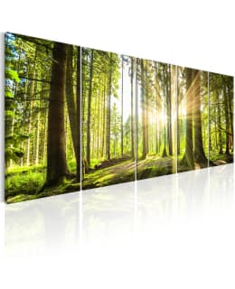 ARTGEIST SUNLIGHT 5OS 225X90CM TAULU Main Image