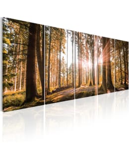 ARTGEIST BEAUT NATURE 200X80 5O TAULUSET Main Image