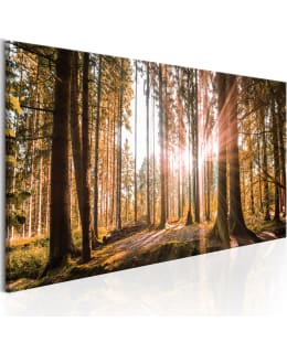 ARTGEIST SMALL WONDERS 150X50 TAULU Main Image