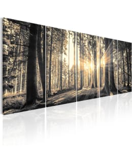 ARTGEIST SHADOW 200X80CM 5OS TAULUSETTI Main Image