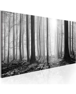 ARTGEIST BLACK/WHITE FOREST 150X50 TAULU Main Image