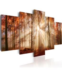 ARTGEIST FOREST FOG 200X100 5OS TAULU Main Image