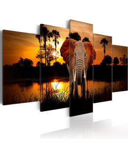 ARTGEIST LAKE SUN 100X50CM 5OS TAULUSET Main Image