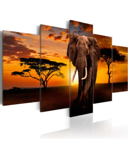 ARTGEIST SAVANNA KING 100X50 5O TAULUSET Main Image