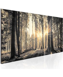ARTGEIST FOREST SUN 135X45CM TAULU Main Image