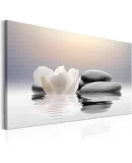 ARTGEIST GARDEN OF CALM 60X40 TAULU Main Image