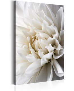 ARTGEIST WHITE DAHLIA 60X90 TAULU Main Image