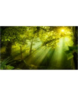 Artgeist A1-500280NEW103SAM IL-F.TAPETTI Main Image