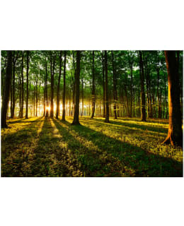 Artgeist A1-MFT1018SAM IL-FOTOTAPETTI Main Image