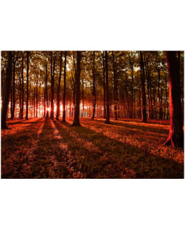 Artgeist A1-XLFT1020SAM IL-FOTOTAPETTI Main Image