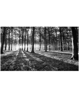 Artgeist A1-500280VFT1019SAM IL-F.TAP Main Image