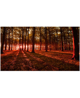 Artgeist A1-500280VFT1020SAM IL-F.TAP Main Image