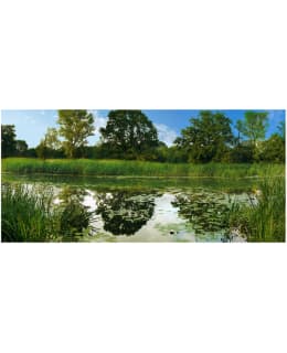 Artgeist A1-600X280VFT1082SAM IL-F.TAP Main Image