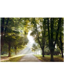 Artgeist A1-XLFT1085SAM IL-FOTOTAPETTI Main Image