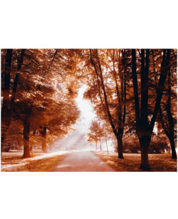 ARTGEIST A1-SFT1086SAM IL-FOTOTAPETTI Main Image