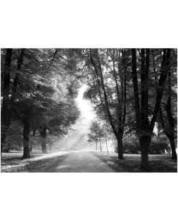 Artgeist A1-LFT1087SAM IL-FOTOTAPETTI Main Image