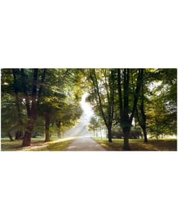 Artgeist A1-600X280VFT1085SAM IL-F.TAP Main Image