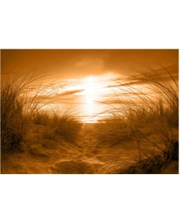 Artgeist A1-XXLNEW010102SAM IL-F.TAPETTI Main Image