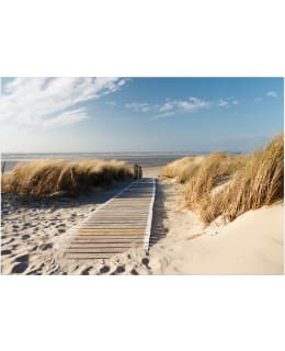 Artgeist A1-3XLFT1785SAM IL-FOTOTAPETTI Main Image