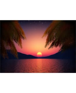 Artgeist A1-MNEW011138SAM IL-FOTOTAPETTI Main Image