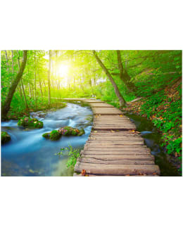 Artgeist A1-NEW011304SAM IL-FOTOTAPETTI Main Image