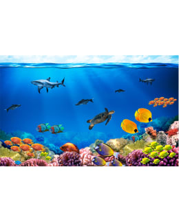 Artgeist A1-LNEW010146SAM IL-FOTOTAPETTI Main Image