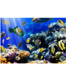 Artgeist A1-XXLNEW010257SAM IL-F.TAPETTI Main Image